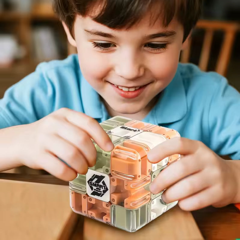 CUBO DE LABERINTO 3D-DIVERSION INFINITA EN LA PALMA DE TU MANO